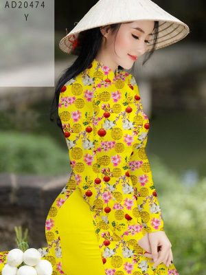 1608088228 356 vai ao dai dep hien nay (2)